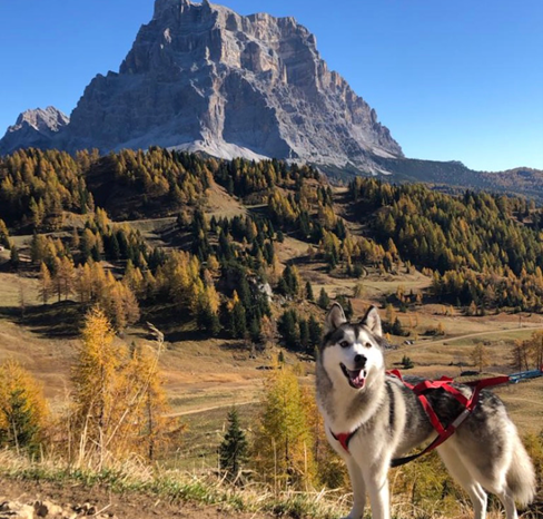 Lo sguardo di Maya